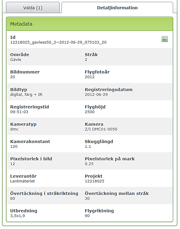 Box with the Selected selections and Detailed information in the form of tabs. The detail information tab is highlighted. It contains various metadata. 