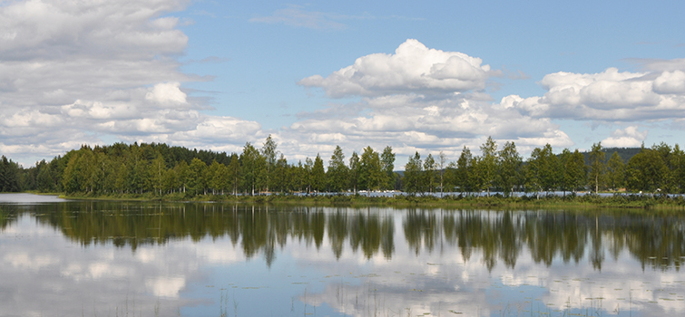 Foto på en sjö där björkar speglar sig i vattnet